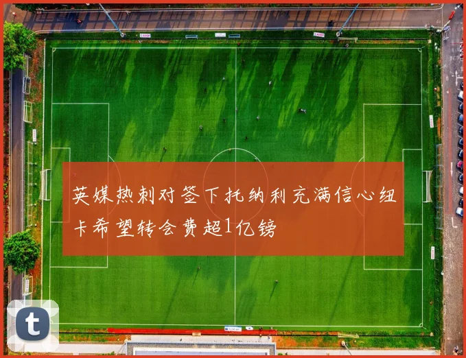 英媒热刺对签下托纳利充满信心纽卡希望转会费超1亿镑